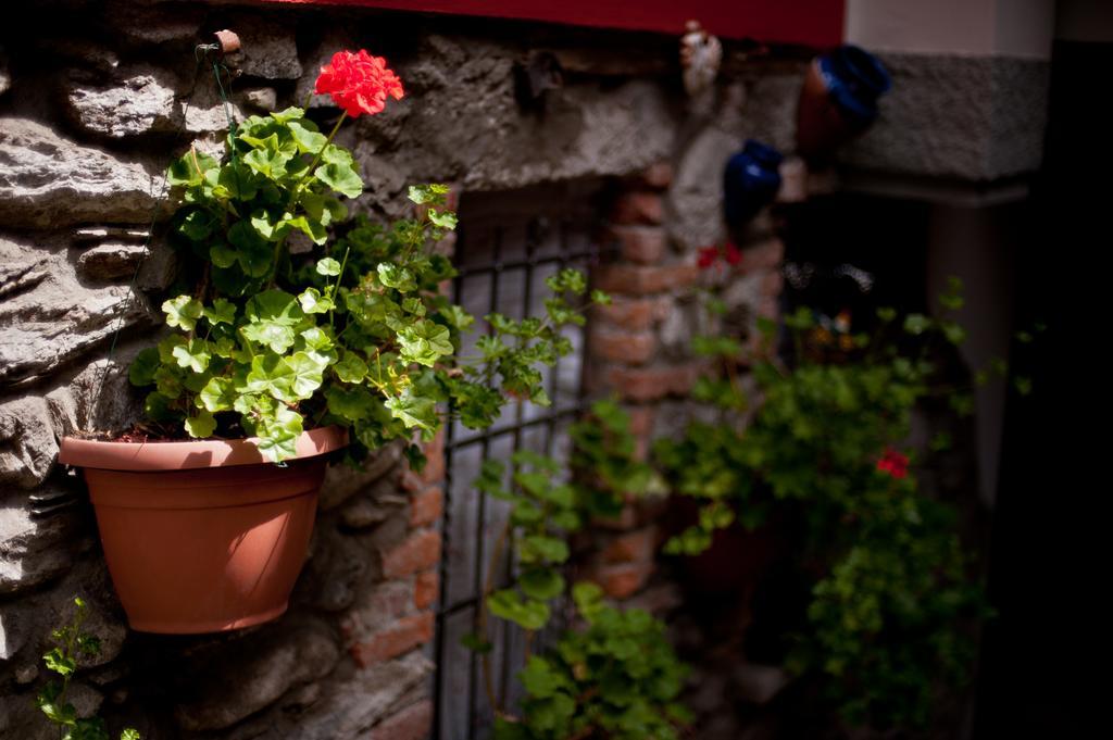 B&B Il Pettirosso Malonno Exterior foto